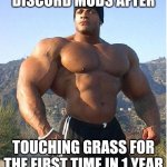 E | DISCORD MODS AFTER TOUCHING GRASS FOR THE FIRST TIME IN 1 YEAR | image tagged in buff guy,lol,haha,memes,discord mod | made w/ Imgflip meme maker