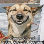 Happy Dog | when your yard drops below 80 degrees | image tagged in happy dog | made w/ Imgflip meme maker