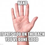Be like hand | HAND; IT PATS YOU ON THE BACK; YOU’VE DONE GOOD | image tagged in hand | made w/ Imgflip meme maker