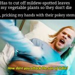 Vegetable Mildew | Me: Has to cut off mildew-spotted leaves from my vegetable plants so they don't die; Plants, pricking my hands with their pokey stems: | image tagged in how dare you attack the son of odin,gardening | made w/ Imgflip meme maker