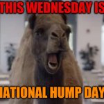 national hump day | THIS WEDNESDAY IS; NATIONAL HUMP DAY! | image tagged in hump day camel | made w/ Imgflip meme maker