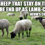 Sheep | "SHEEP THAT STAY ON THE PASTURE END UP AS LAMB-CHOPS"; -KEVIN'S CORNER | image tagged in sheep | made w/ Imgflip meme maker