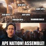 Avengers endgame portals | NEW APES; GIANT APES; OLD APES; SEXY APES; DIAMOND BALLS; FOREIGN APES; APE NATION! ASSEMBLE! | image tagged in avengers endgame portals,amc | made w/ Imgflip meme maker