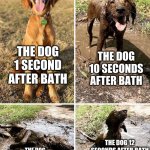 They don't stay clean for long | THE DOG 10 SECONDS AFTER BATH; THE DOG 1 SECOND AFTER BATH; THE DOG 12 SECONDS AFTER BATH; THE DOG 11 SECONDS AFTER BATH | image tagged in 4 panel dog getting dirtier meme,animals,cute,dogs,before and after,memes | made w/ Imgflip meme maker