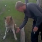 Dog Handshake GIF Template