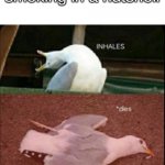 don't smoke | smoking in a nutshell | image tagged in inhales dies bird | made w/ Imgflip meme maker