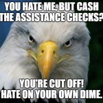 Hate'n on the U.S. | YOU HATE ME, BUT CASH THE ASSISTANCE CHECKS? YOU'RE CUT OFF! HATE ON YOUR OWN DIME. | image tagged in american bald eagle | made w/ Imgflip meme maker
