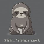 Anime sloth having a moment
