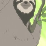 Anime sloth wise