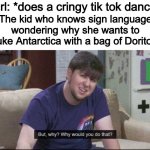 why, just why | Girl: *does a cringy tik tok dance* The kid who knows sign language wondering why she wants to nuke Antarctica with a bag of Doritos: | image tagged in but why why would you do that,tik tok | made w/ Imgflip meme maker