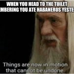 gandalf motion | WHEN YOU HEAD TO THE TOILET REMEMBERING YOU ATE HABANEROS YESTERDAY | image tagged in gandalf motion | made w/ Imgflip meme maker