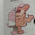 Richard Watterson anatomy meme