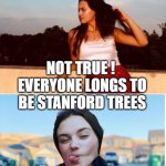 money doesn't grow on trees | PROVERB : MONEY DOESN'T GROW ON TREES; NOT TRUE !  EVERYONE LONGS TO BE STANFORD TREES | image tagged in anna soooo smart | made w/ Imgflip meme maker