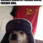 our chicken wings | ME: EATS SOME CHICKEN WINGS AT FRIENDS HOUSE
FRIENDS DOG: | image tagged in russian doge | made w/ Imgflip meme maker
