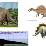 Dinosaurs template