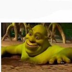 Shrek In The Mud meme
