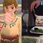Zelda Link Gato Cena