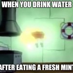 Spongebob Ascends | WHEN YOU DRINK WATER; AFTER EATING A FRESH MINT | image tagged in spongebob ascends | made w/ Imgflip meme maker