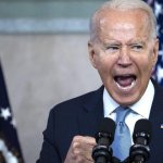 Strident Biden 2