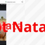 not a nata nataornot.com