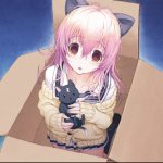 Mukou in a box