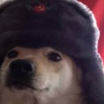 Comrade Doggo meme