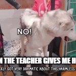 no more homewrk | ME WHEN THE TEACHER GIVES ME HOMEWRK | image tagged in gifs,dramatic | made w/ Imgflip video-to-gif maker