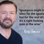 Ricky Gervais quote