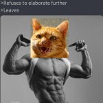 Chad Alpha Cat at 3 AM | MEOWS | image tagged in chad leaves,cat,cats,meow | made w/ Imgflip meme maker