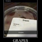 Grapes meme