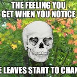 Fall IS Coming - The Feeling You Get When You Notice The Leaves Change | THE FEELING YOU GET WHEN YOU NOTICE; THE LEAVES START TO CHANGE | image tagged in fall is coming | made w/ Imgflip meme maker
