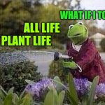 Kermit Watering Plants Meme Generator Imgflip