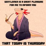 It’s Thursday axolotl meme