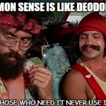 Daily Bad Dad Joke 07/16/2021 | COMMON SENSE IS LIKE DEODORANT; THOSE WHO NEED IT NEVER USE IT | image tagged in cheech chong | made w/ Imgflip meme maker