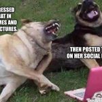 Dogs Laughing | SHE DRESSED THE CAT IN COSTUMES AND TOOK PICTURES. THEN POSTED THEM ON HER SOCIAL MEDIA. | image tagged in dogs laughing | made w/ Imgflip meme maker