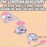 thinking this brings chills down my spine | me: *shitting peacefully*; my brain: what if a snake comes through the pipes and bites the balls | image tagged in skeleton shut up brain | made w/ Imgflip meme maker