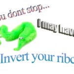 If you don't stop...i may have to invert your ribcage Meme Generator ...
