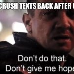 Hawkeye Don’t Give Me Hope | WHEN UR CRUSH TEXTS BACK AFTER 6 MONTHS | image tagged in hawkeye don t give me hope | made w/ Imgflip meme maker