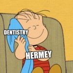 Linus and his blanket | DENTISTRY; HERMEY | image tagged in linus and his blanket,memes,funny,dentists | made w/ Imgflip meme maker