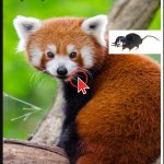 AyeJaySnizz Red Panda Announcement template