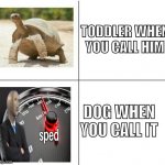 fast vs slow | TODDLER WHEN YOU CALL HIM; DOG WHEN YOU CALL IT | image tagged in fast vs slow,turtle,i am speed,memes,meme man,meme man smort | made w/ Imgflip meme maker