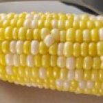 Unsettling corn template