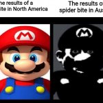 Australia has a lot of deadly animals and insects! | The results of a spider bite in North America; The results of a spider bite in Australia | image tagged in mario v s dark mario | made w/ Imgflip meme maker