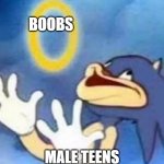 Sonic | BOOBS; MALE TEENS | image tagged in sonic | made w/ Imgflip meme maker