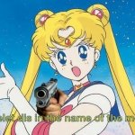 Sailor Moon Delet dis in the name of the moon