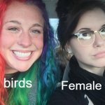Birds are the absolute opposite of the human race | Male birds; Female birds | image tagged in my sister and i are polar opposites | made w/ Imgflip meme maker
