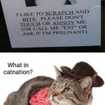 The store cat sign | What in catnation? | image tagged in what in tarnation,cat,funny,memes,noted,you had one job | made w/ Imgflip meme maker