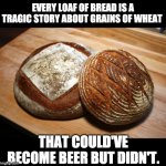 Wheat | EVERY LOAF OF BREAD IS A TRAGIC STORY ABOUT GRAINS OF WHEAT; THAT COULD'VE BECOME BEER BUT DIDN'T. | image tagged in sourdough bread | made w/ Imgflip meme maker