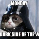 Monday’s, the dark side of the week | MONDAY THE DARK SIDE OF THE WEEK | image tagged in memes,grumpy cat star wars,grumpy cat | made w/ Imgflip meme maker