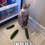 How cats see cucumbers. | MEOW; THERE IS 3 SNAKES AROUND ME | image tagged in cucumbers cat,cats,snakes,cucumber,memes | made w/ Imgflip meme maker